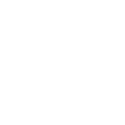 icon-logo